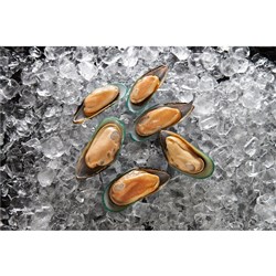 MUSSELS 1/2 SHELL MEDIUM 1KG(10) # 03657 SIMPLOT