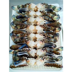 CRAB BLUE SWIMMER 140GM WHOLE CLEANED 1KG(6) # CSF5012.16 COVENTRY SEAFOODS