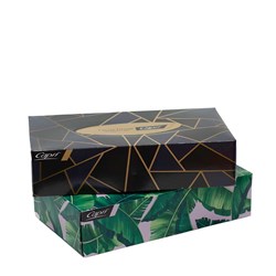 TISSUES FACIAL 2PLY 100'S (48) # C-TI0185 CAPRI