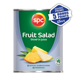 SPCFS_PROMOthumbnail
