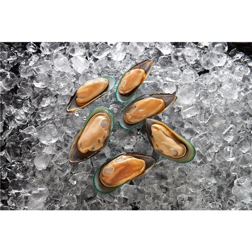 MUSSELS 1/2 SHELL MEDIUM 1KG(10) # 03657 SIMPLOT