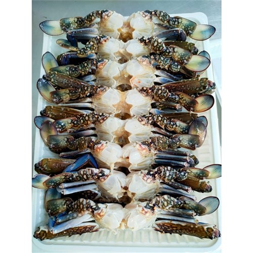 CRAB BLUE SWIMMER 140GM WHOLE CLEANED 1KG(6) # CSF5012.16 COVENTRY SEAFOODS