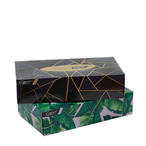 TISSUES FACIAL 2PLY 100'S (48) # C-TI0185 CAPRI